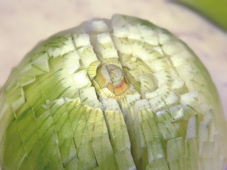 90度回し、同じように切り込みを入れていきます。